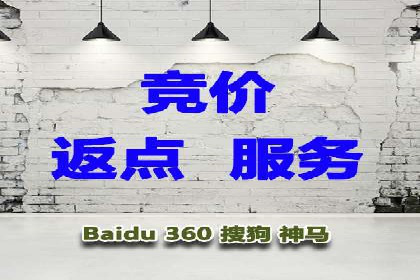 推广竞价案例分析：揭秘高转化率背后的秘密